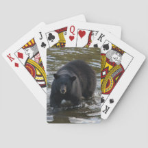 La cubierta del oso