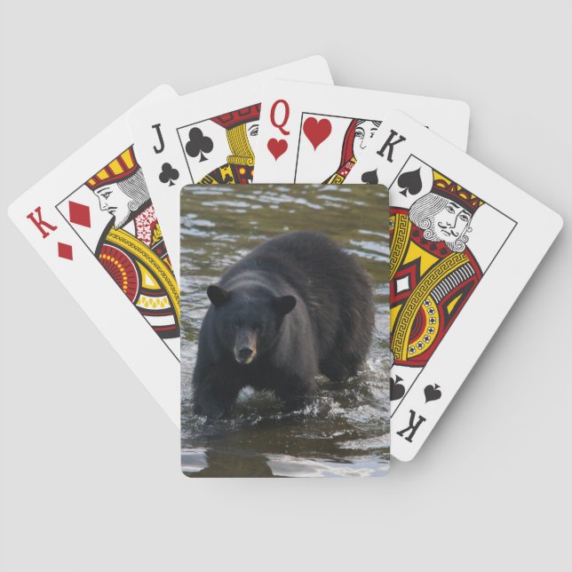 Baraja De Cartas La cubierta del oso (Reverso)