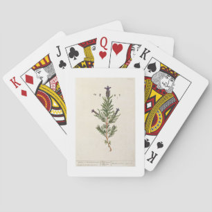 Baraja De Cartas La lavanda francesa, platea 241 'de un Herbal