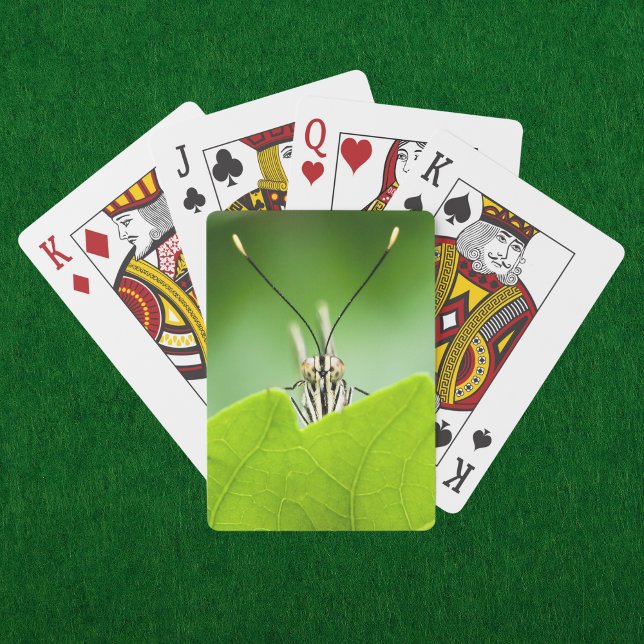 Baraja De Cartas La Mariposa Funeraria Peeks Sobre Leaf (A curious butterfly peeks over a vibrant green leaf on these nature inspired playing cards. )