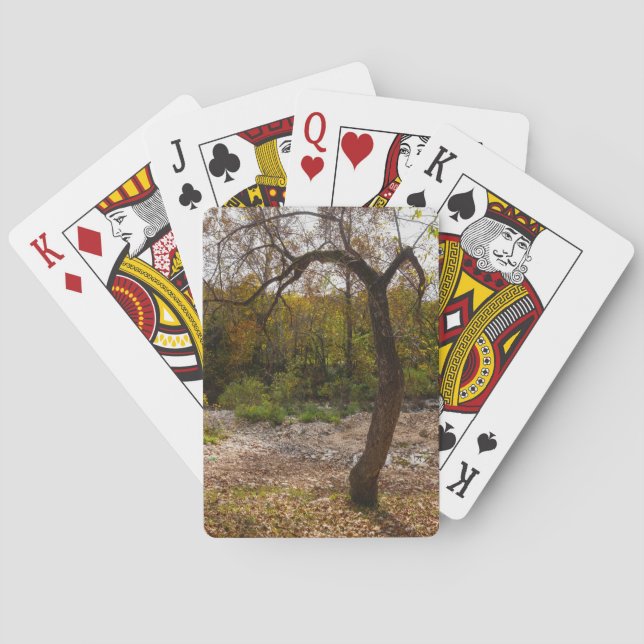 Baraja De Cartas La Naturaleza llegando (Reverso)
