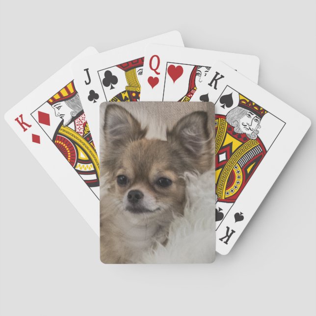 Baraja De Cartas La relajación de Chihuahua (Reverso)
