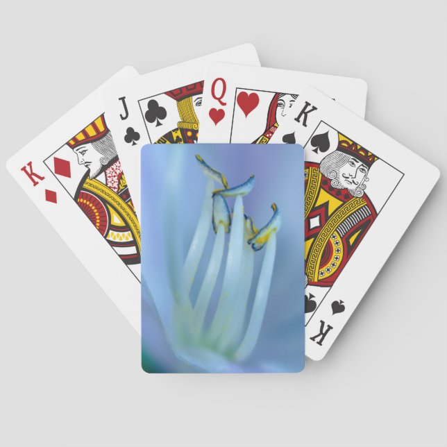 Baraja De Cartas La tierra (Reverso)