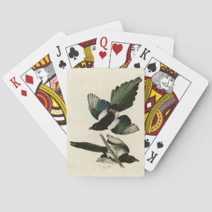 Baraja De Cartas La urraca estadounidense de los pájaros de América