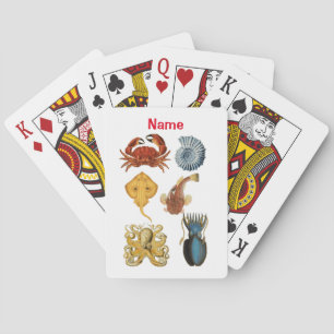 Baraja De Cartas La variedad de Bebidas marinas únicas Thunder_Cove