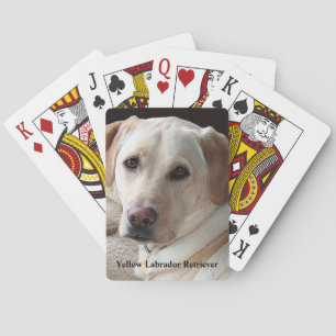 Baraja De Cartas Labrador amarillo recuperador
