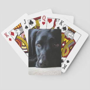 Baraja De Cartas Labrador negro