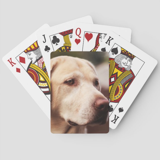 Baraja De Cartas Labrador Retriever (Reverso)