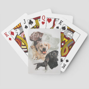 Baraja De Cartas Labrador Retriever