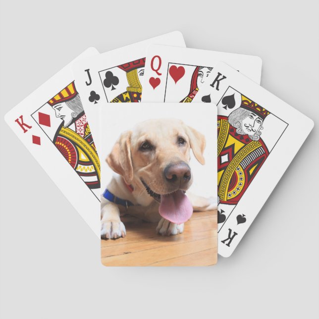 Baraja De Cartas Labrador retriever (Reverso)