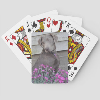 Baraja De Cartas Labradores plateados