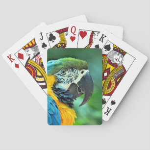Baraja De Cartas Lactancia colorida