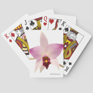 Baraja De Cartas Laelia Ancep
