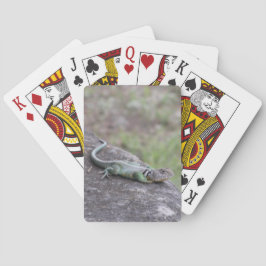 Baraja De Cartas Lagarto