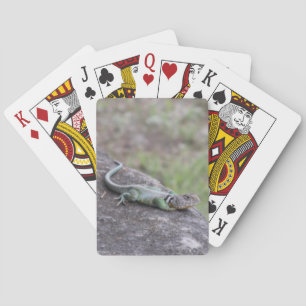 Baraja De Cartas Lagarto