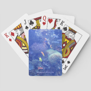 BARAJA DE CARTAS LAGOON
