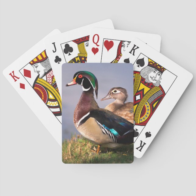 Baraja De Cartas Lakeside, Wood Duck (Reverso)