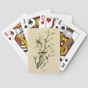 Baraja De Cartas Las aves de Estados Unidos del bebler amarillo de 