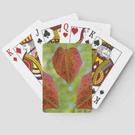 Baraja De Cartas Las hojas de amor de la naturaleza