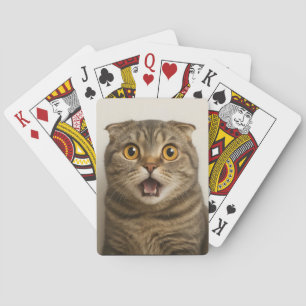 Baraja De Cartas Las lesbianas comen ¿Qué divertido