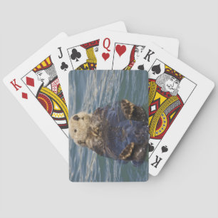 Baraja De Cartas Las nutrias de mar juegan en los icebergs en la