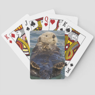 Baraja De Cartas Las nutrias marinas juegan en icebergs en Surprise