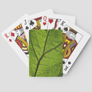 Baraja De Cartas Leaf. Butterbur verde