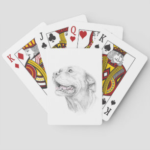 Baraja De Cartas Lealtad, un American Staffordshire Terrier