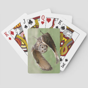 Baraja De Cartas Lechuza Águila En Vuelo