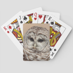 Baraja De Cartas Lechuza Barred