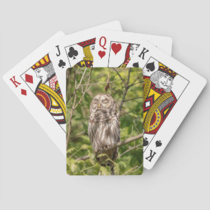 Baraja De Cartas Lechuza Sleepy Barred