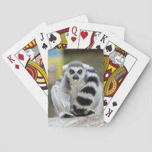 Baraja De Cartas Lémur lleno de personalidad