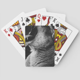 Baraja De Cartas león bostezoso