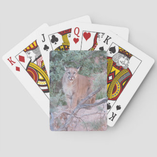 Baraja De Cartas León de montaña