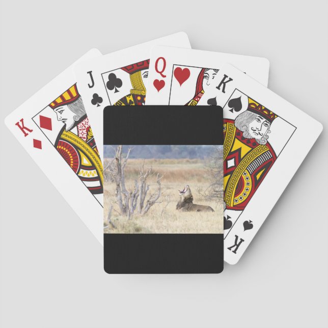 Baraja De Cartas León de Yawning (Reverso)