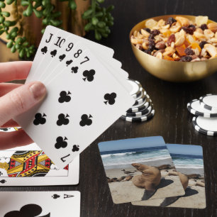 Baraja De Cartas León del Mar Marrón en una playa