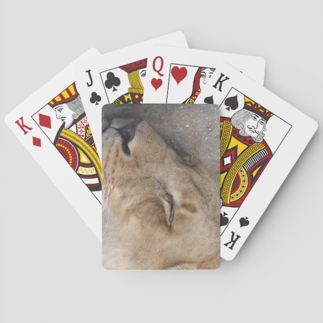 Baraja De Cartas León durmiente (Reverso)