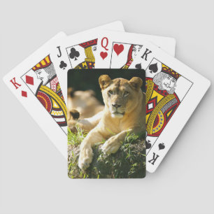 Baraja De Cartas Leones