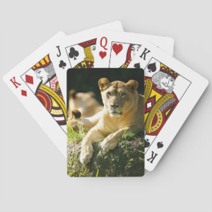 Baraja De Cartas Leones