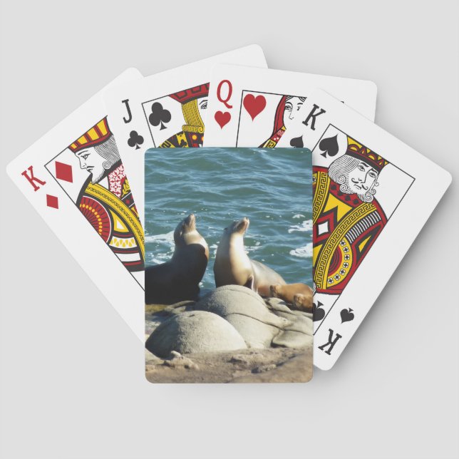 Baraja De Cartas Leones del mar de San Diego (Reverso)