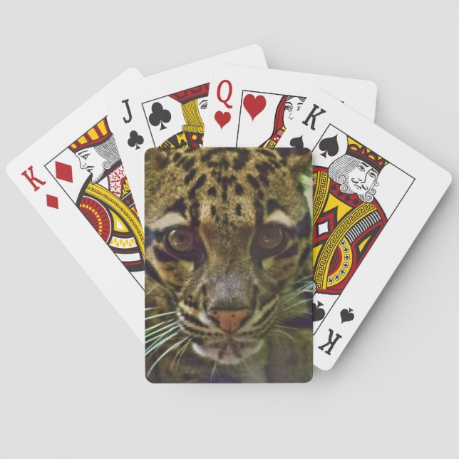 Baraja De Cartas Leopardo nublado (Reverso)