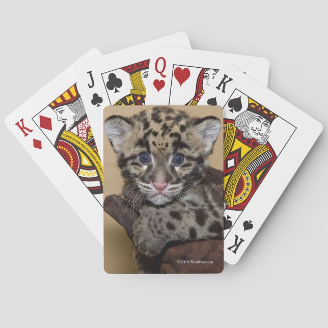 Baraja De Cartas Leopardo nublado Cub (Reverso)