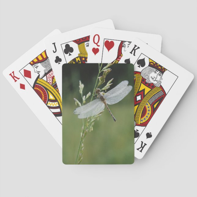 Baraja De Cartas Libélula Darner cubierta de rocío (Reverso)