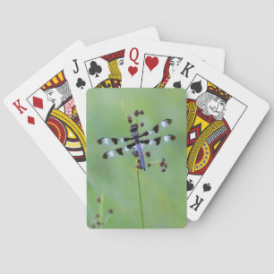 Baraja De Cartas Libélula posada en hierba, Canadá