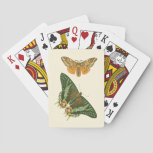 Baraja De Cartas Lightly Bordered Butterfly Painting