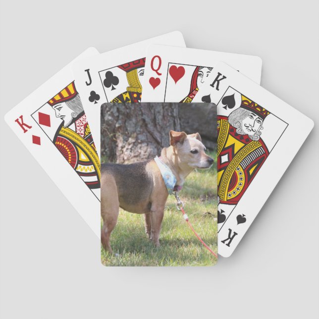 Baraja De Cartas Lily Playing Cards (Reverso)
