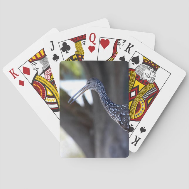 Baraja De Cartas Limpkin, The Crying Bird (Reverso)