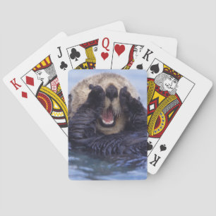 Baraja De Cartas Linda nutria marina   Alaska, EE. UU.