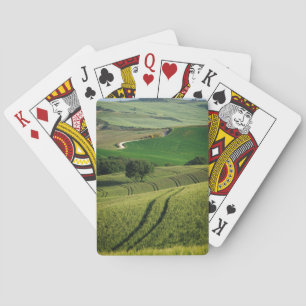 Baraja De Cartas Líneas Curvy en cubierta verde del póker de