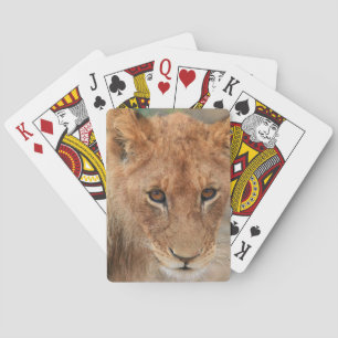 Baraja De Cartas Lion Cub